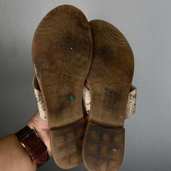 Sergio Todzi | Snakskin Crossover strap sandals‎ 39 - Picture 4 of 5